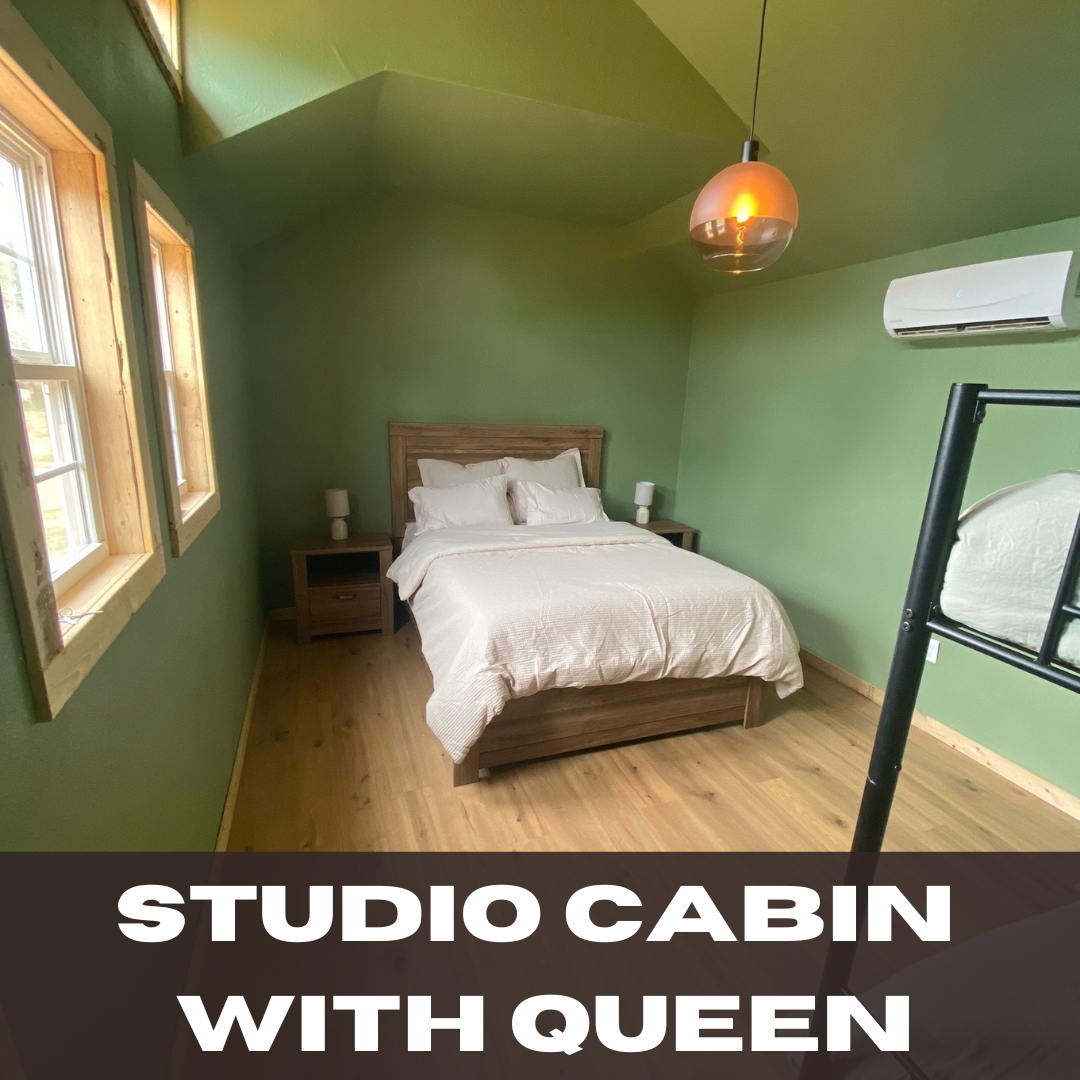 CABIN RENTAL - STUDIO