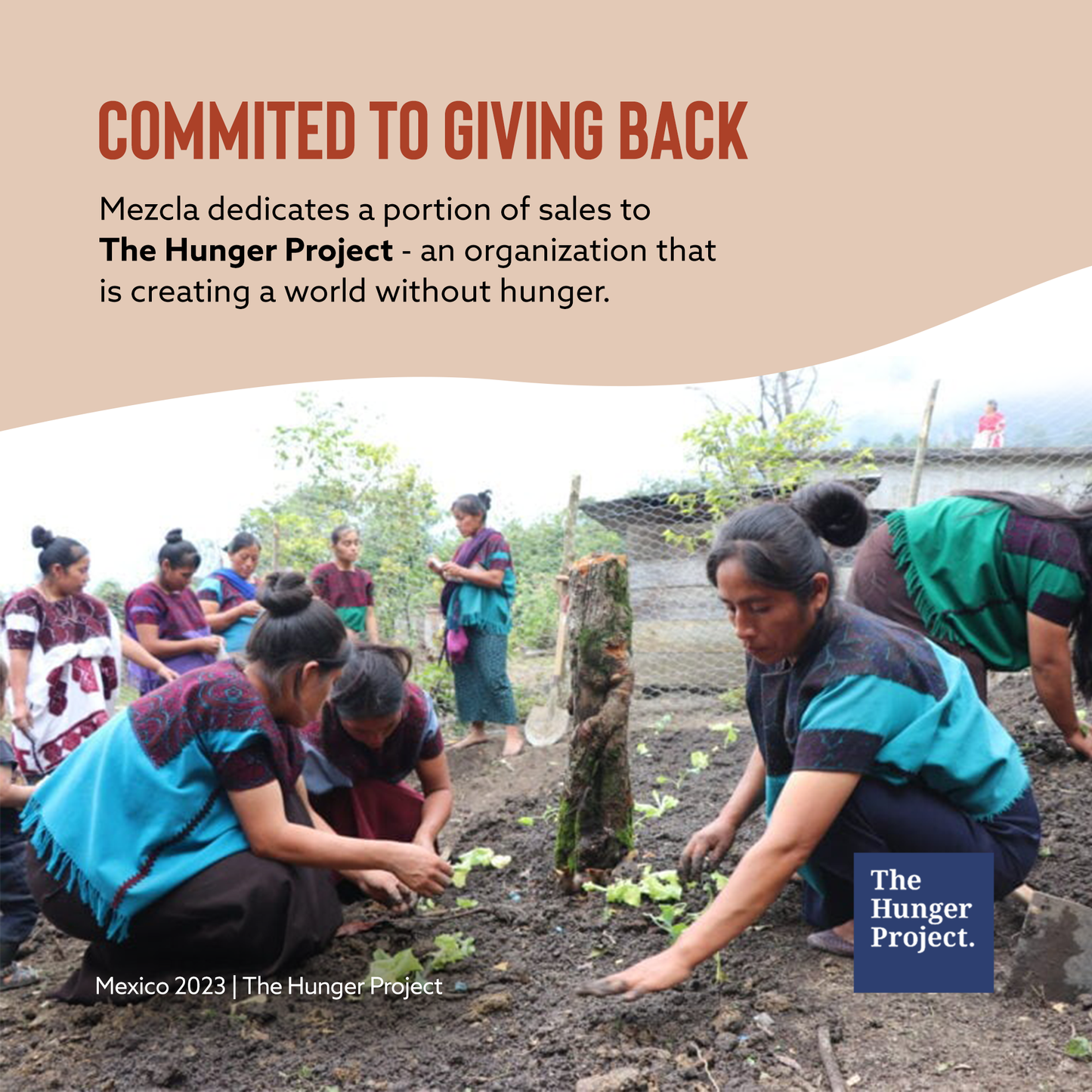 Mezcla Hazelnut Chocolate Protein Bar