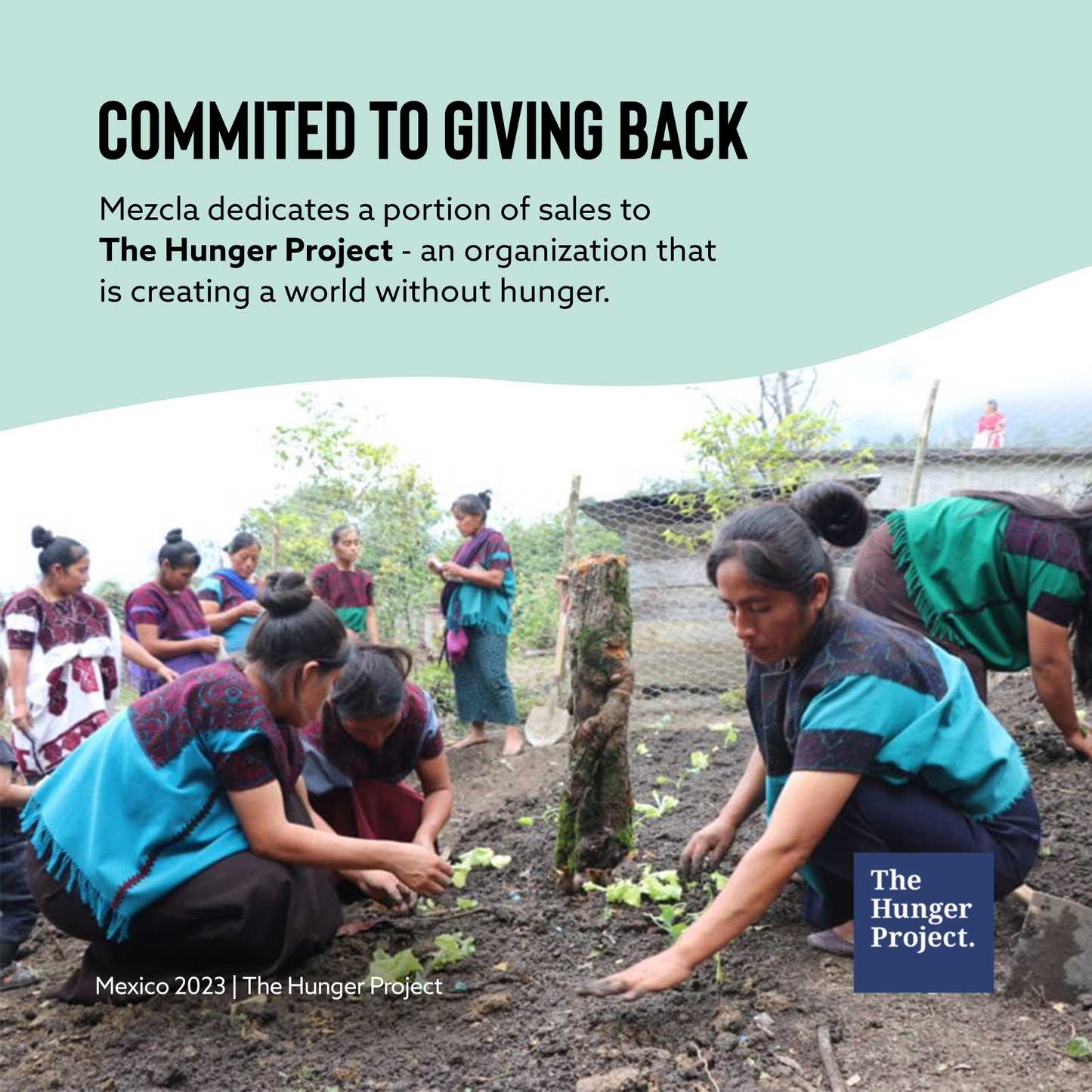 Mezcla Matcha Vanilla Protein Bar