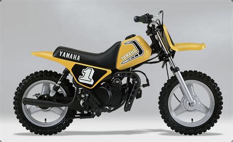 PW50 KIDS DIRT BIKE FOR RENT